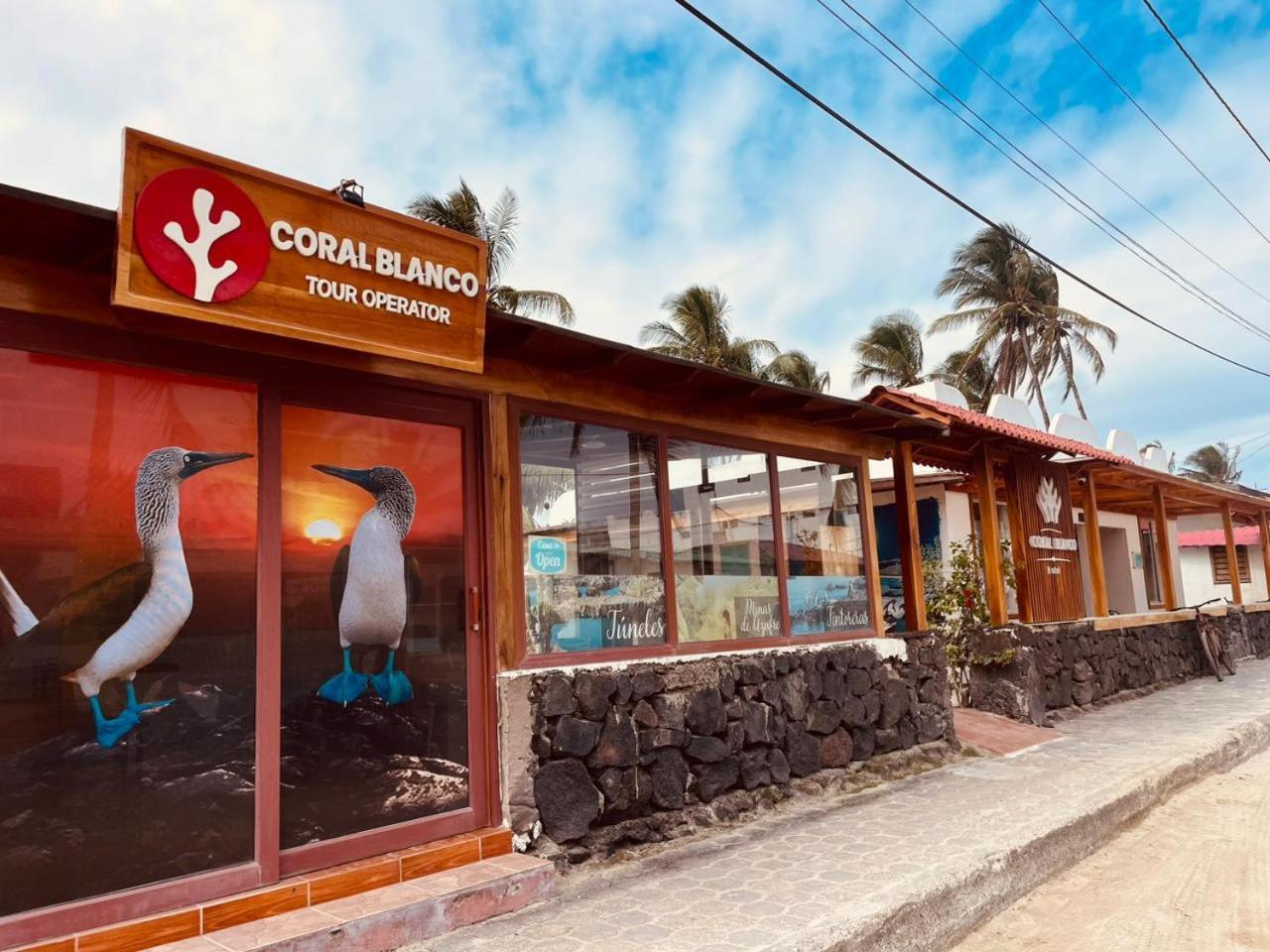 Hotel Coral Blanco With High Speed Internet Starlink And Galapagos Tour Operator Puerto Villamil Kültér fotó